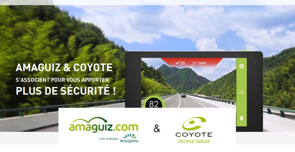 Amaguiz-coyote