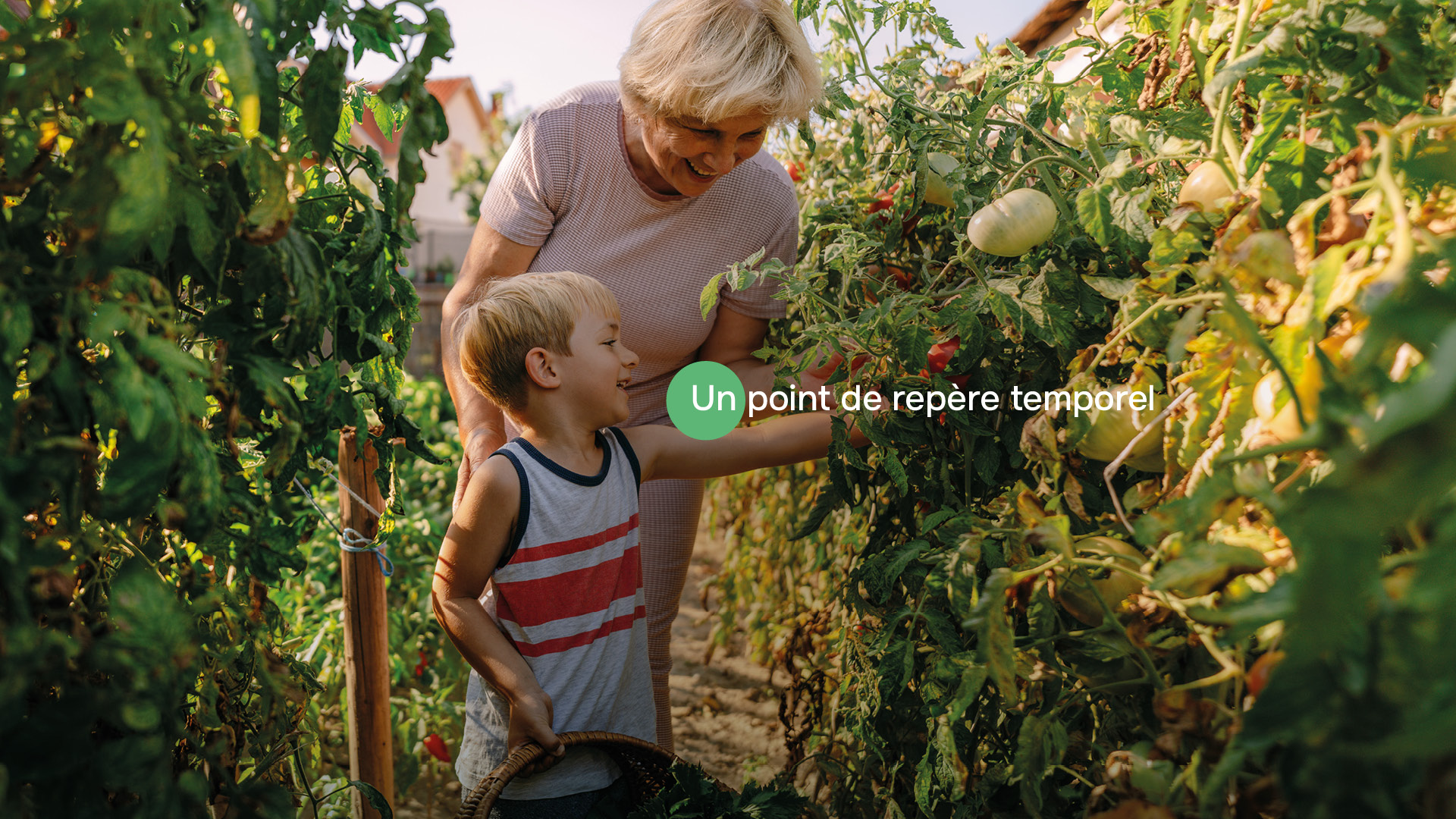 Image montrant une grand-mère et son petit-fils cueillant des fruits, on y voit écrit "un point de repère temporel"